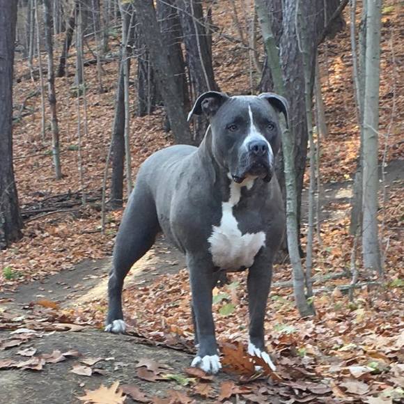 Meet your Posher, Stacey - Picture 1 of 1